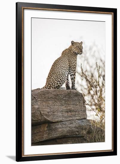 The Look Out-Nigel Pavitt-Framed Giclee Print