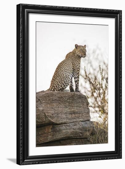 The Look Out-Nigel Pavitt-Framed Giclee Print