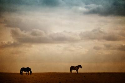 'The Lookout' Photographic Print - Roberta Murray | Art.com