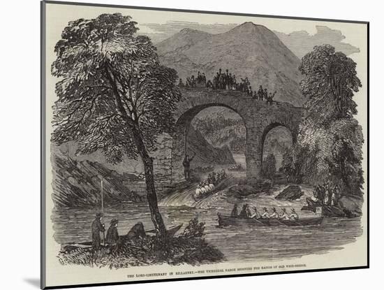 The Lord-Lieutenant in Killarney, the Viceregal Barge Shooting the Rapids of Old Weir-Bridge-null-Mounted Giclee Print