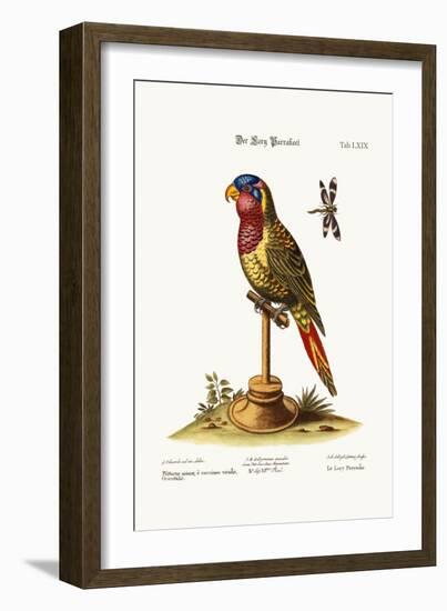 The Lory-Parrakeet, 1749-73-George Edwards-Framed Giclee Print