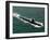 The Los Angeles-class Fast Attack Submarine USS Asheville-Stocktrek Images-Framed Photographic Print