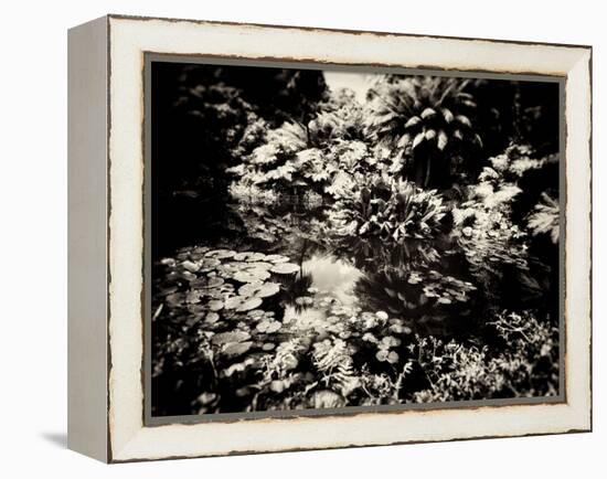 The Lost Gardens of Heligan-Tim Kahane-Framed Premier Image Canvas