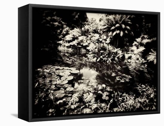 The Lost Gardens of Heligan-Tim Kahane-Framed Premier Image Canvas