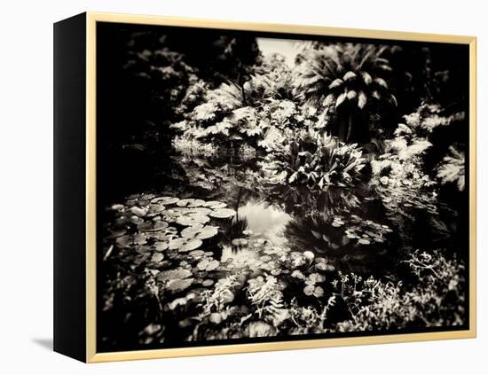 The Lost Gardens of Heligan-Tim Kahane-Framed Premier Image Canvas