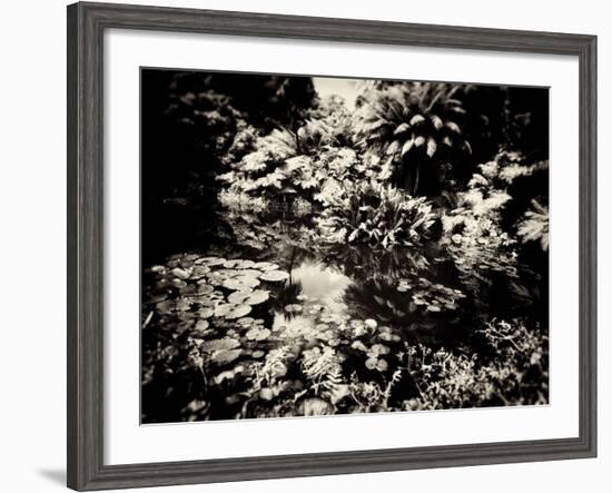 The Lost Gardens of Heligan-Tim Kahane-Framed Photographic Print