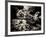 The Lost Gardens of Heligan-Tim Kahane-Framed Photographic Print