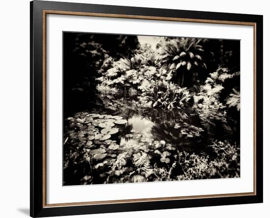 The Lost Gardens of Heligan-Tim Kahane-Framed Photographic Print