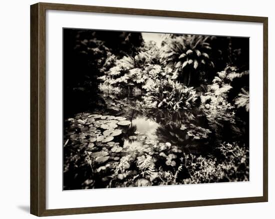 The Lost Gardens of Heligan-Tim Kahane-Framed Photographic Print