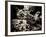 The Lost Gardens of Heligan-Tim Kahane-Framed Photographic Print