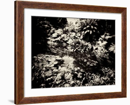 The Lost Gardens of Heligan-Tim Kahane-Framed Photographic Print