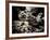 The Lost Gardens of Heligan-Tim Kahane-Framed Photographic Print