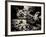 The Lost Gardens of Heligan-Tim Kahane-Framed Photographic Print