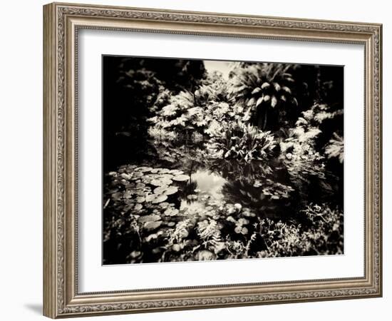 The Lost Gardens of Heligan-Tim Kahane-Framed Photographic Print