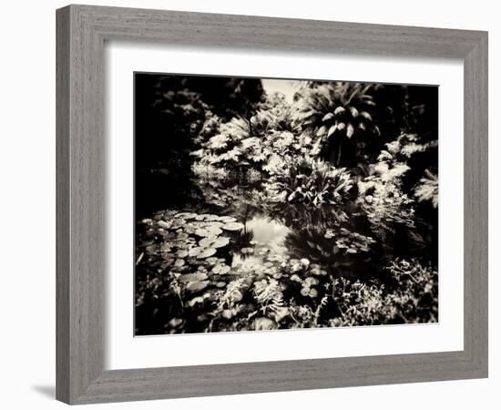 The Lost Gardens of Heligan-Tim Kahane-Framed Photographic Print