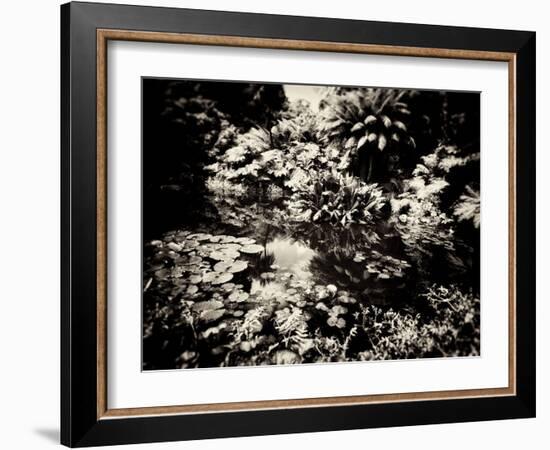 The Lost Gardens of Heligan-Tim Kahane-Framed Photographic Print