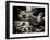 The Lost Gardens of Heligan-Tim Kahane-Framed Photographic Print