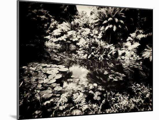 The Lost Gardens of Heligan-Tim Kahane-Mounted Photographic Print