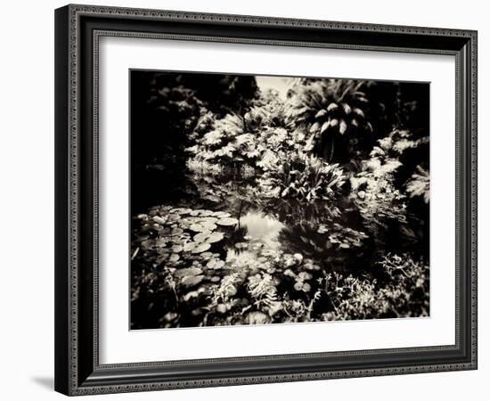 The Lost Gardens of Heligan-Tim Kahane-Framed Photographic Print