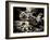 The Lost Gardens of Heligan-Tim Kahane-Framed Photographic Print