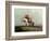 The Lost Greenhorn, 1851-Alfred Jacob Miller-Framed Giclee Print