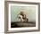 The Lost Greenhorn, 1851-Alfred Jacob Miller-Framed Giclee Print