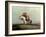 The Lost Greenhorn, 1851-Alfred Jacob Miller-Framed Giclee Print