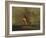 The Lost Greenhorn-Alfred Jacob Miller-Framed Giclee Print