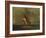 The Lost Greenhorn-Alfred Jacob Miller-Framed Giclee Print