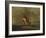 The Lost Greenhorn-Alfred Jacob Miller-Framed Giclee Print