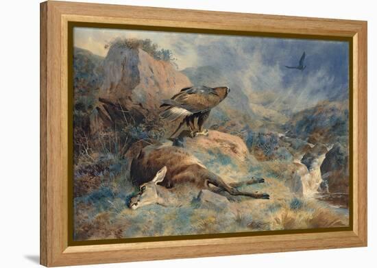 The Lost Hind, 1894 (Pencil and W/C on Paper)-Archibald Thorburn-Framed Premier Image Canvas