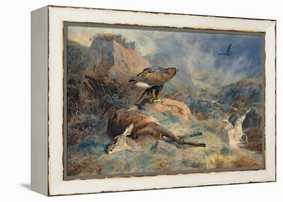The Lost Hind, 1894 (Pencil and W/C on Paper)-Archibald Thorburn-Framed Premier Image Canvas