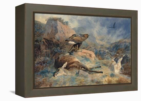 The Lost Hind, 1894 (Pencil and W/C on Paper)-Archibald Thorburn-Framed Premier Image Canvas