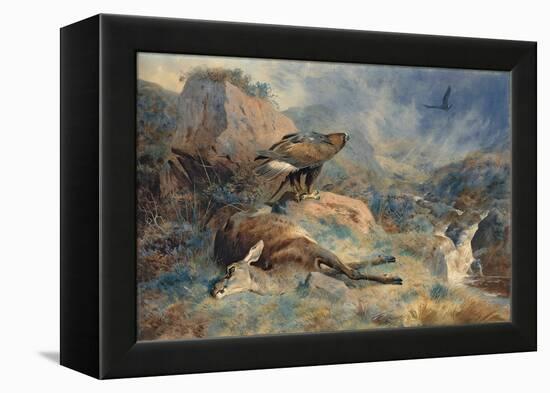 The Lost Hind, 1894 (Pencil and W/C on Paper)-Archibald Thorburn-Framed Premier Image Canvas