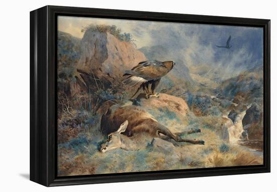 The Lost Hind, 1894 (Pencil and W/C on Paper)-Archibald Thorburn-Framed Premier Image Canvas