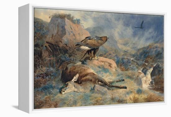 The Lost Hind, 1894 (Pencil and W/C on Paper)-Archibald Thorburn-Framed Premier Image Canvas