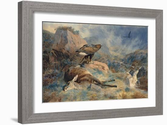 The Lost Hind, 1894 (Pencil and W/C on Paper)-Archibald Thorburn-Framed Giclee Print