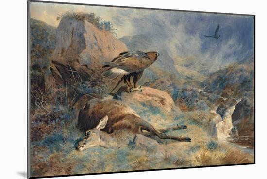 The Lost Hind, 1894 (Pencil and W/C on Paper)-Archibald Thorburn-Mounted Giclee Print