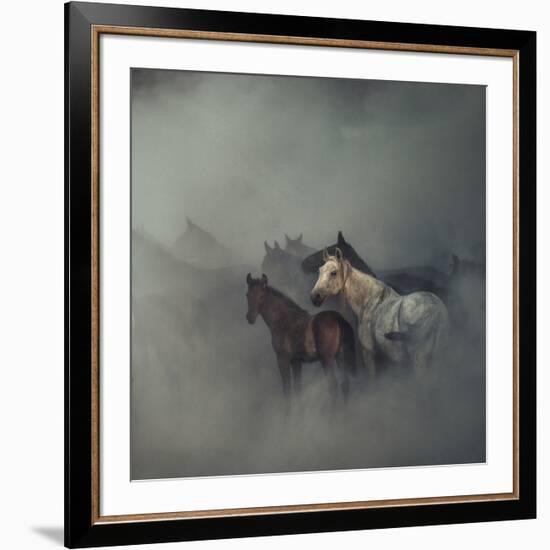 The Lost Horses-Huseyin Ta?k?n-Framed Giclee Print