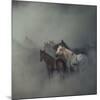 The Lost Horses-Huseyin Ta?k?n-Mounted Giclee Print