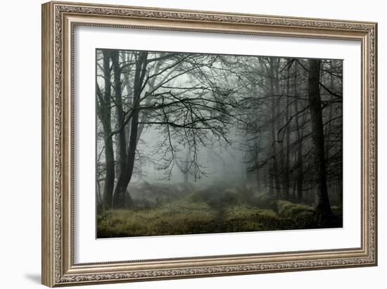 The Lost Spirit-David Baker-Framed Photographic Print