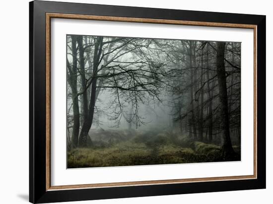 The Lost Spirit-David Baker-Framed Photographic Print