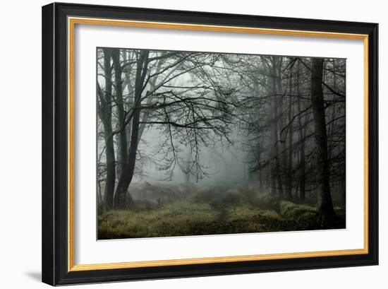 The Lost Spirit-David Baker-Framed Photographic Print