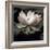 The Lotus I-Andy Neuwirth-Framed Photo