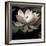 The Lotus I-Andy Neuwirth-Framed Photo