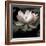 The Lotus I-Andy Neuwirth-Framed Photo