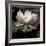 The Lotus I-Andy Neuwirth-Framed Photo