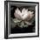 The Lotus I-Andy Neuwirth-Framed Photo