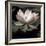 The Lotus I-Andy Neuwirth-Framed Photo