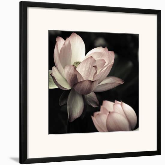 The Lotus II-Andy Neuwirth-Framed Art Print